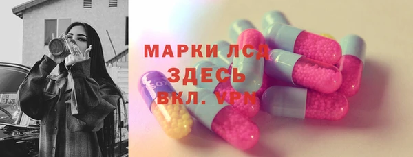 дмт Бикин