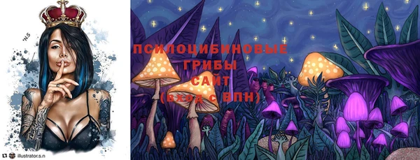 jwh Новокубанск