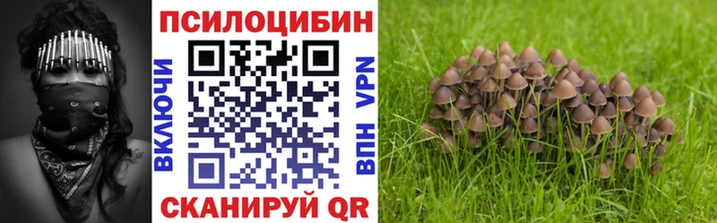 Псилоцибиновые грибы прущие грибы  купить закладку  Мегион 