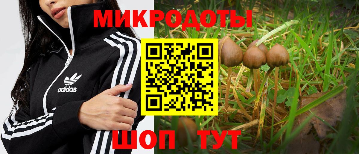 Псилоцибиновые грибы мухоморы  Вход с VPN  наркошоп  Мегион 
