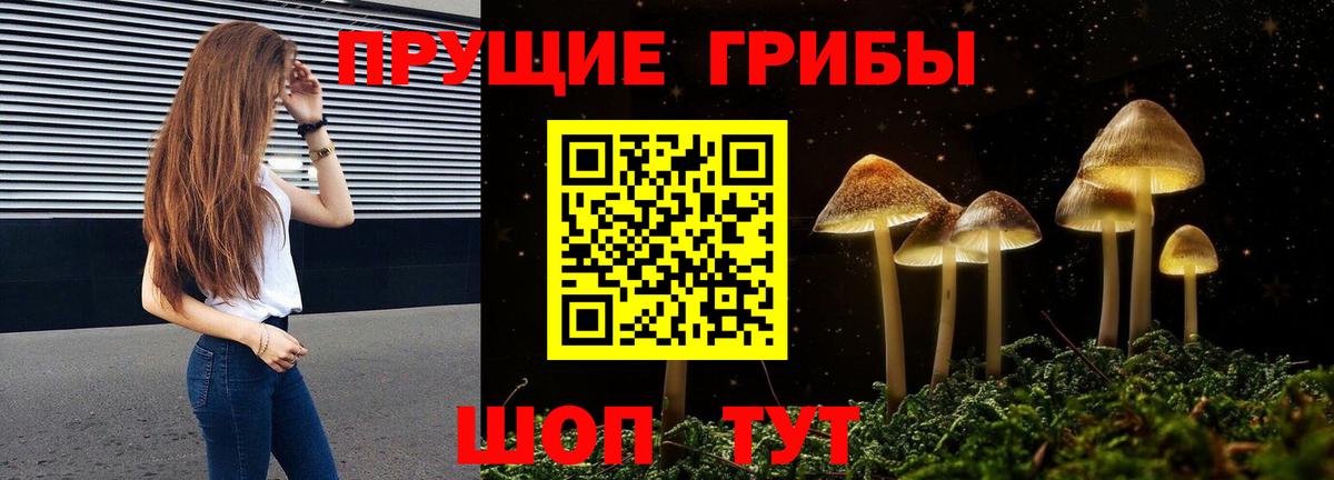 Псилоцибиновые грибы GOLDEN TEACHER Мегион