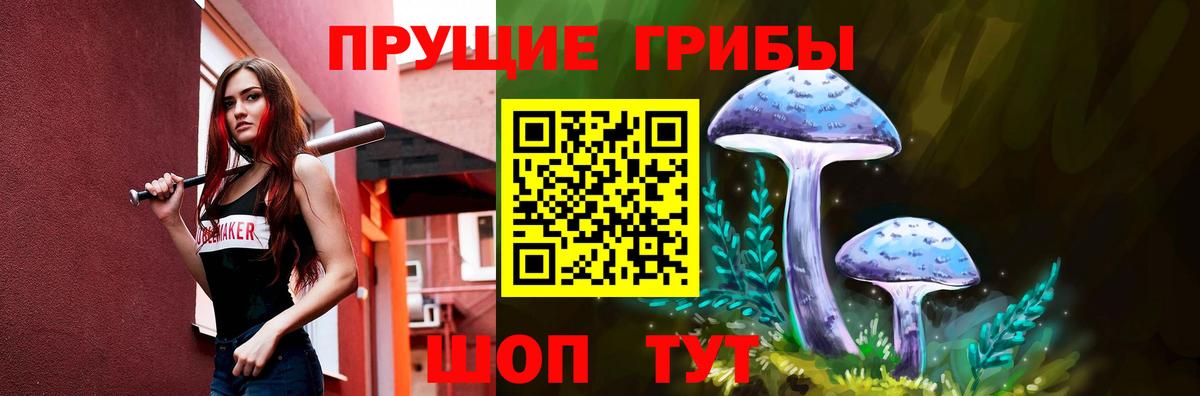 Псилоцибиновые грибы мицелий  Мегион 